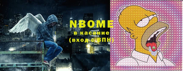 молекула духа Вяземский
