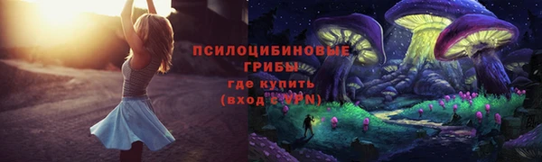 ПСИЛОЦИБИНОВЫЕ ГРИБЫ Бородино