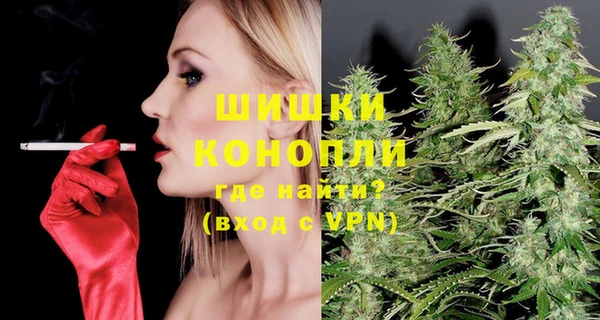 молекула духа Вяземский