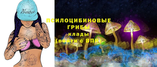 метадон Верея