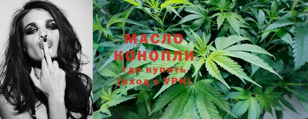 молекула духа Вяземский
