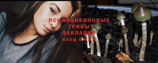 ПСИЛОЦИБИНОВЫЕ ГРИБЫ Бородино