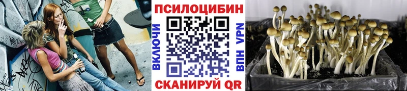 Галлюциногенные грибы мицелий  Купить где  Павловский Посад 