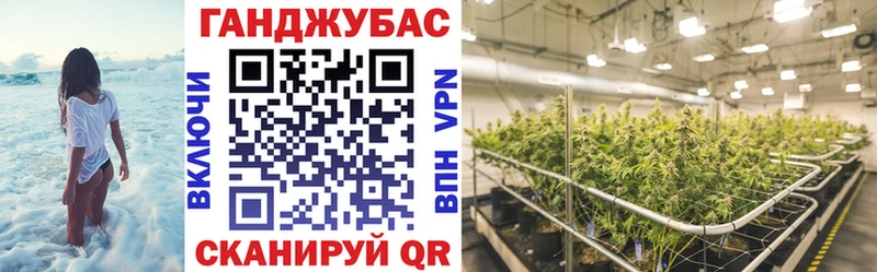 Конопля ГИДРОПОН  Купить где  Павловский Посад 